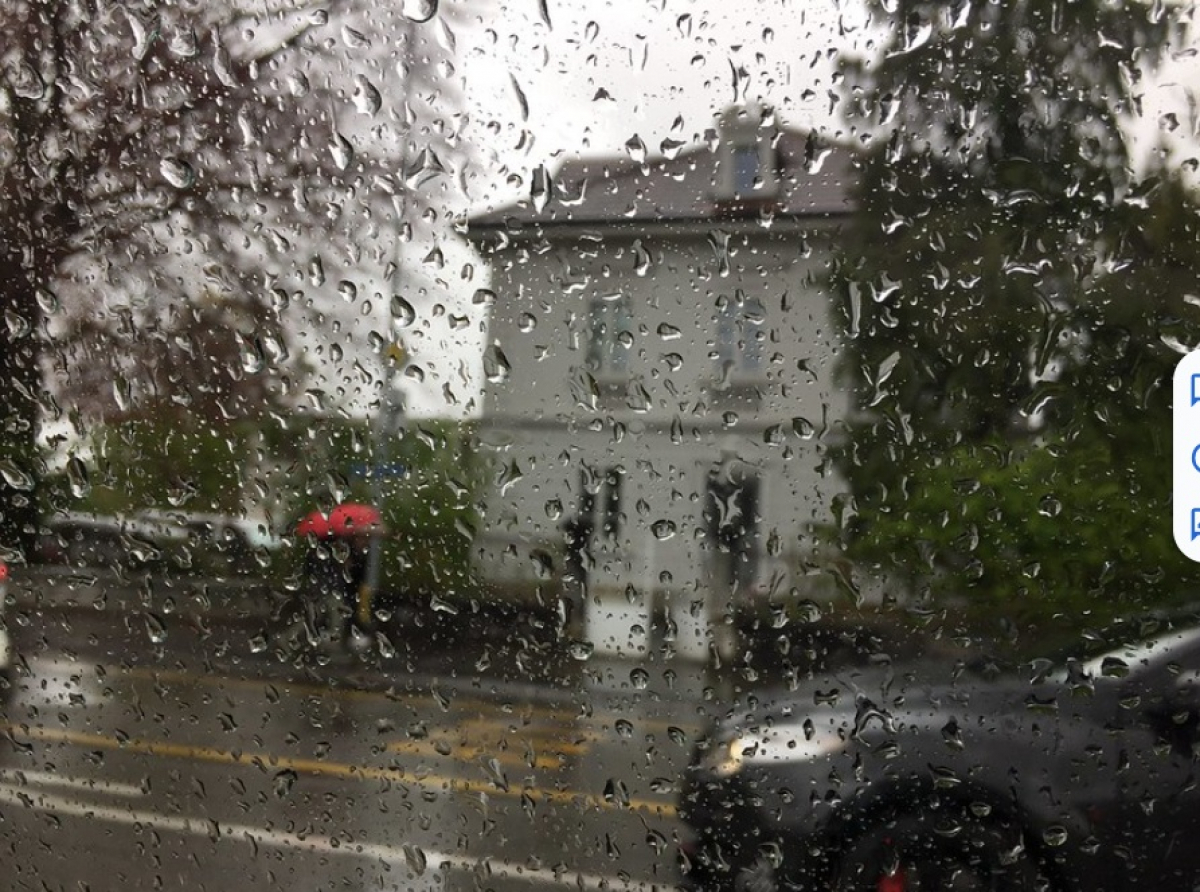雨后漫步，世界焕新：我爱雨天的理由！
