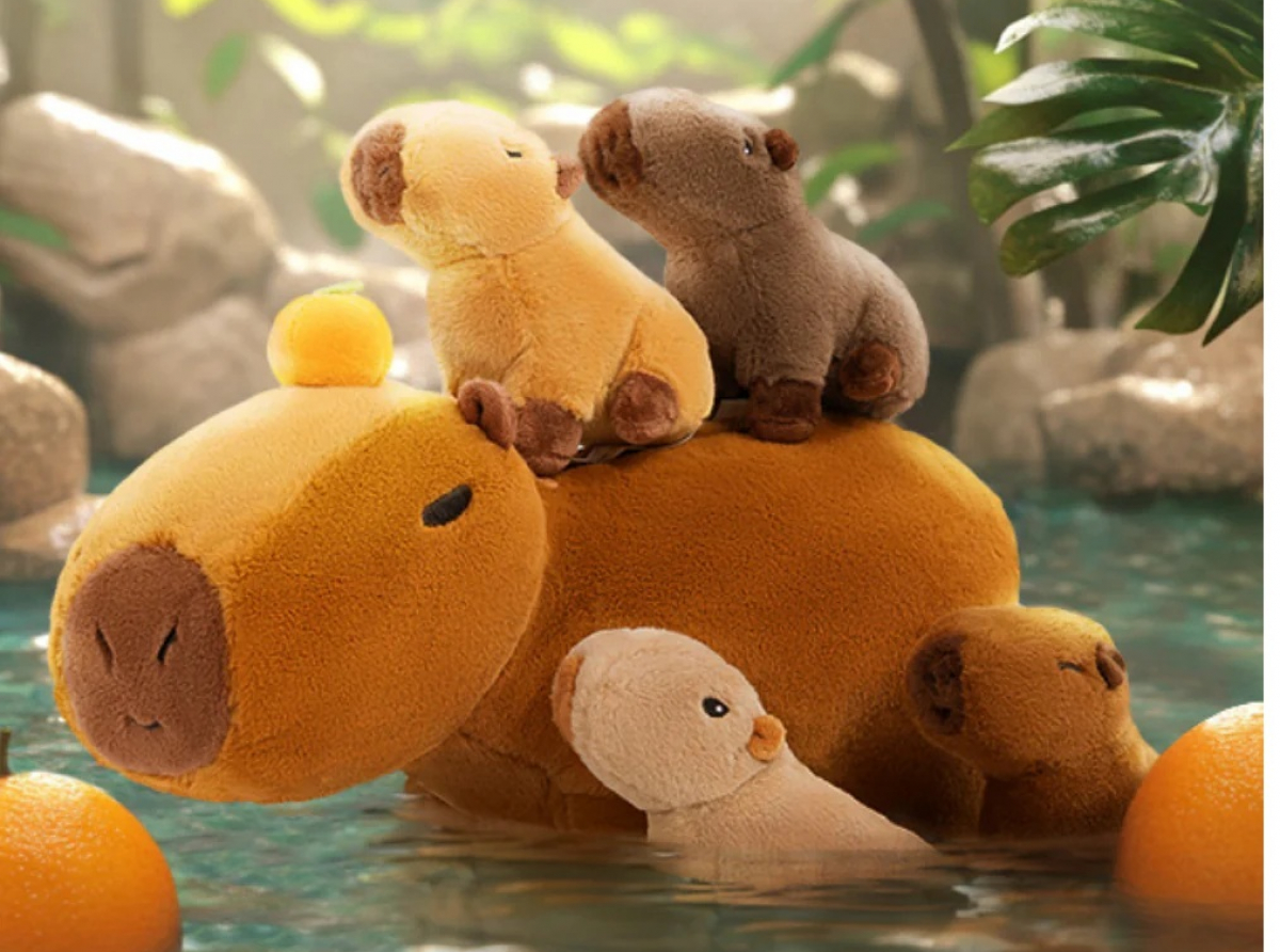 My Capybara Friend