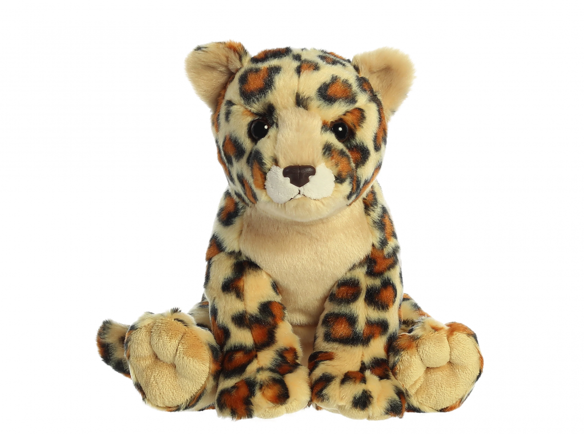 Little Leopard: The adorable companion who helps the teacher grade homework