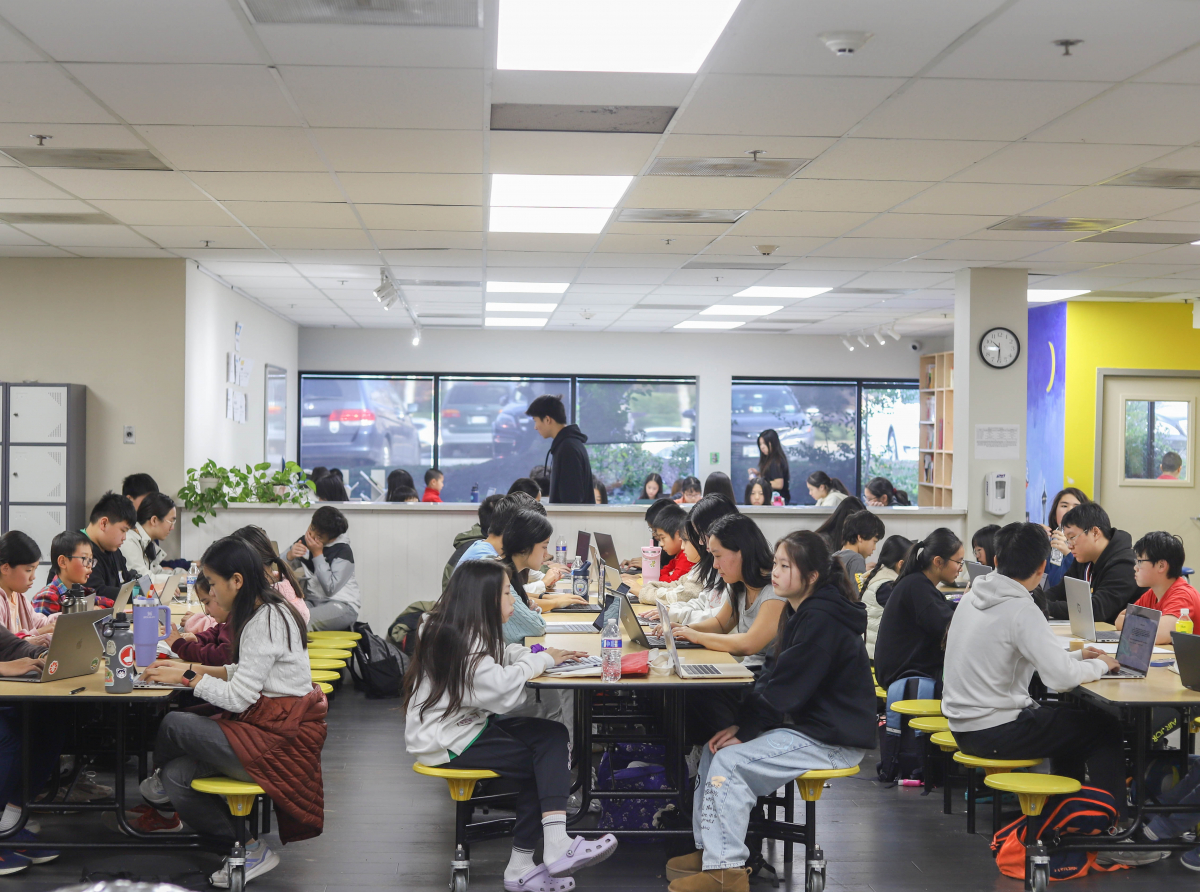 写在第三届华盛顿中国文化节青少年作文大赛之后