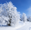 雪